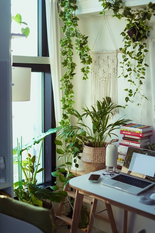 Tips for Creating a Relaxing Home Office Environment